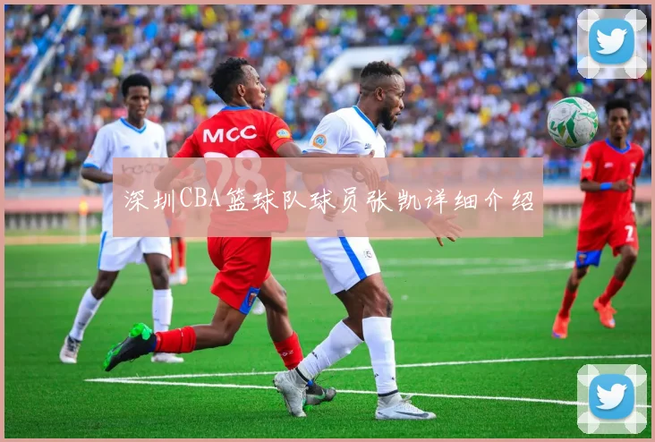 深圳CBA篮球队球员张凯详细介绍