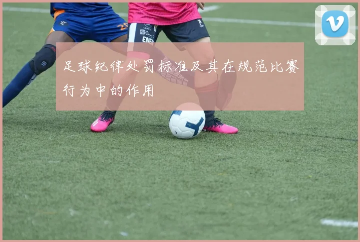 足球纪律处罚标准及其在规范比赛行为中的作用